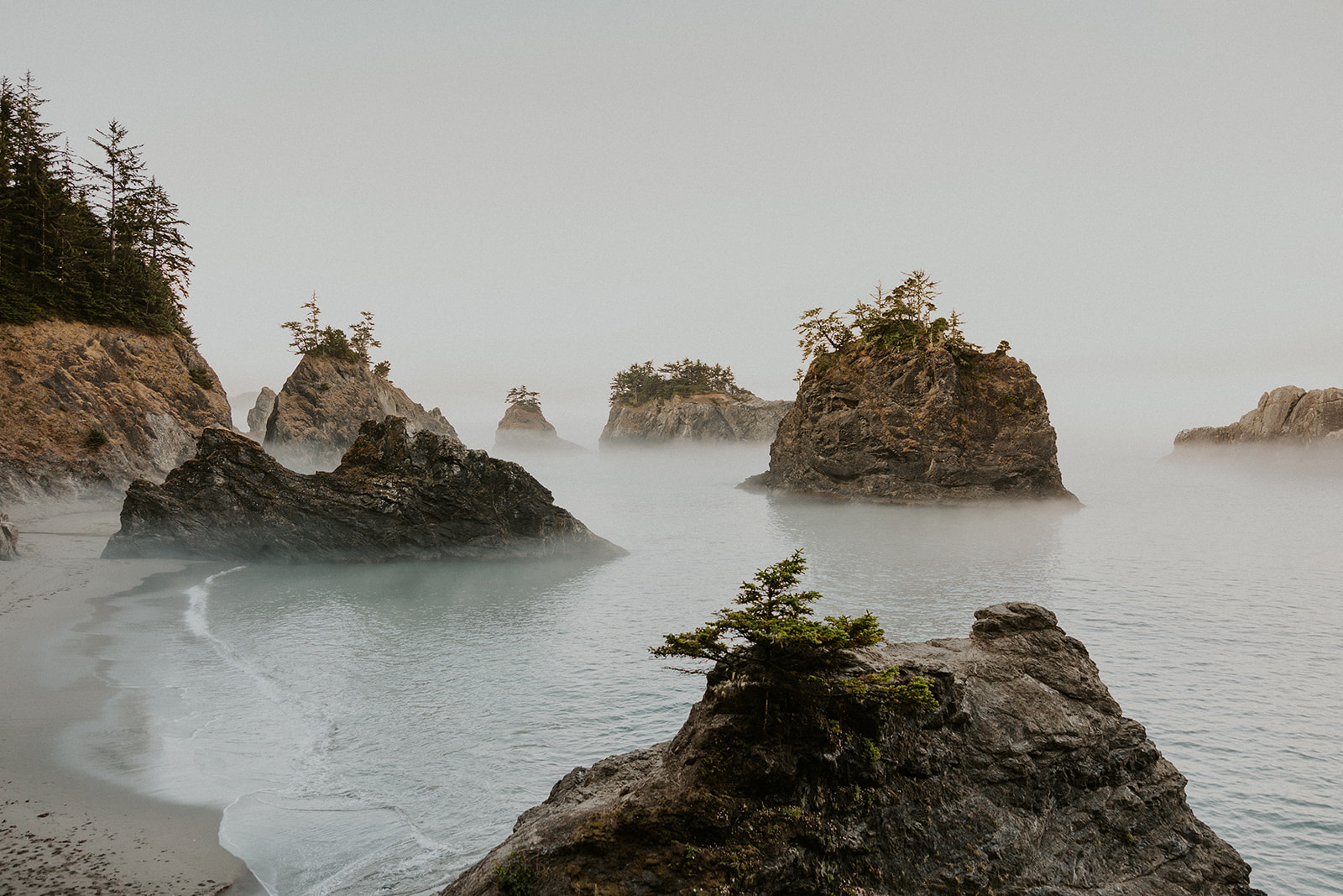 Oregon Coast Elopement Locations: 4 Spots Compared